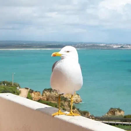 Novo! Vista Mar Junto A Dona Ana Διαμέρισμα *